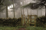 Photographs of Woodland & Rivers